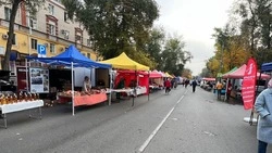 Покровская ярмарка началась в Невинномысске