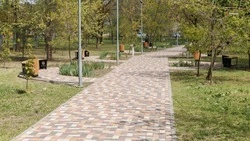 Озеленение провели в сквере Невинномысска