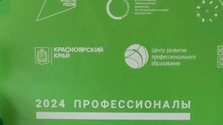 Итоги регионального чемпионата «Профессионалы» подвели на Ставрополье