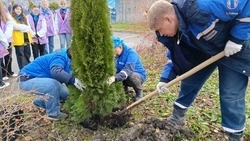 Школьники посадили 11 туй в Невинномысске