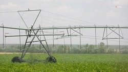 Площади орошаемых земель нарастят на Ставрополье на 7 тыс. га
