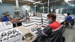 Ряд ставропольских предприятий нарастили выработку на 20%