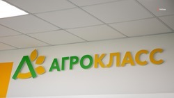 До конца года на Ставрополье откроют 61 агрокласс
