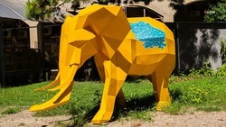 Где найти слона в Ставрополе