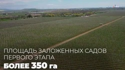 Невинномысск на Первой Кавказской инвестиционной выставке представит свой проект