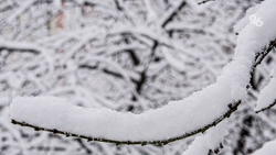 Солнце и морозы ждут жителей Невинномысска в первые выходные 2026 года