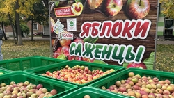 Несколько улиц в Невинномысске перекрыты из-за Покровской ярмарки