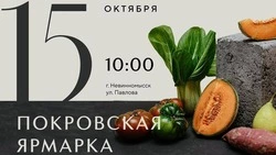 Покровская ярмарка пройдёт в поддержку СВО в Невинномысске