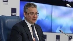 Экономика Ставрополья продолжит развитие в новом году