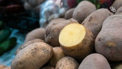 Аграрии Ставрополья на 70 процентов обработали картофельные поля