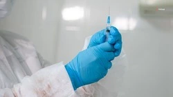 Свыше 500 тыс. ставропольцев сделали прививку от гриппа