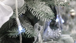 Театр и каток: невинномыссцам рассказали, куда сходить на праздники