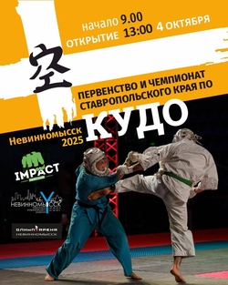 Чемпионат Ставропольского края по КУДО пройдёт в Невинномысске